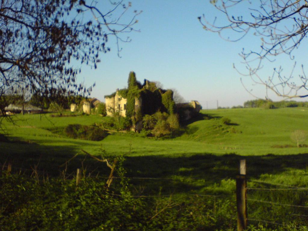 Les Champys Affittacamere Saint-Péreuse Esterno foto